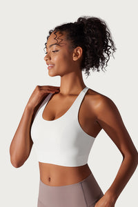 Brace High Support Bra